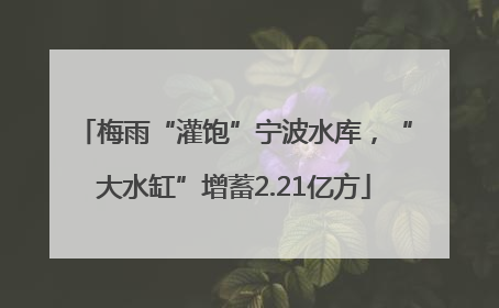 梅雨“灌饱”宁波水库，“大水缸”增蓄2.21亿方