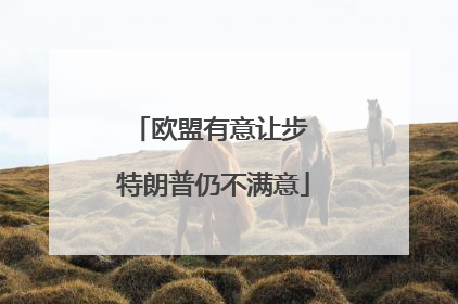 欧盟有意让步 特朗普仍不满意