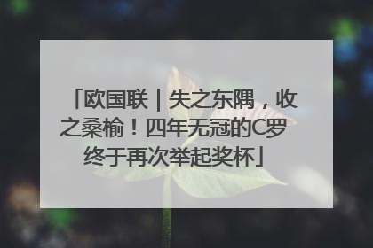 欧国联｜失之东隅，收之桑榆！四年无冠的C罗终于再次举起奖杯