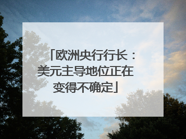 欧洲央行行长：美元主导地位正在变得不确定
