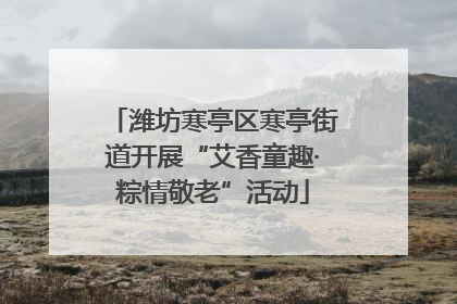 潍坊寒亭区寒亭街道开展“艾香童趣·粽情敬老”活动