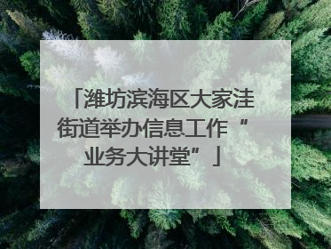 潍坊滨海区大家洼街道举办信息工作“业务大讲堂”