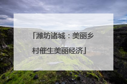 潍坊诸城：美丽乡村催生美丽经济