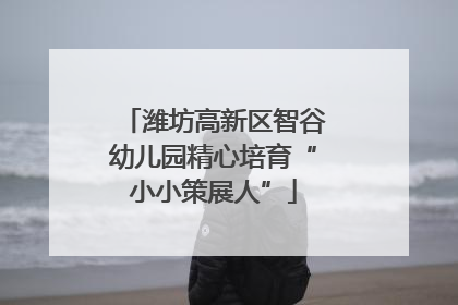 潍坊高新区智谷幼儿园精心培育“小小策展人”