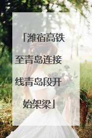 潍宿高铁至青岛连接线青岛段开始架梁