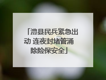 澧县民兵紧急出动 连夜封堵管涌除险保安全