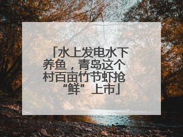 水上发电水下养鱼，青岛这个村百亩竹节虾抢“鲜”上市