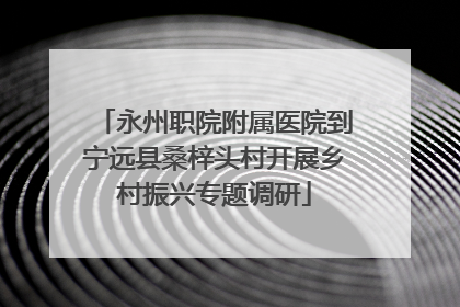 永州职院附属医院到宁远县桑梓头村开展乡村振兴专题调研