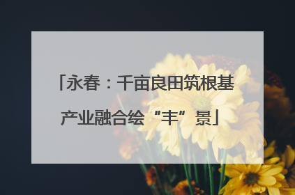 永春：千亩良田筑根基 产业融合绘“丰”景