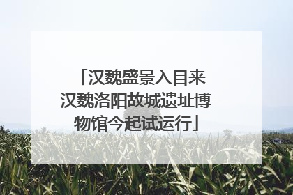 汉魏盛景入目来 汉魏洛阳故城遗址博物馆今起试运行