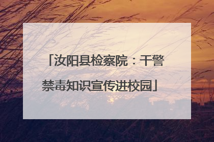汝阳县检察院：干警禁毒知识宣传进校园
