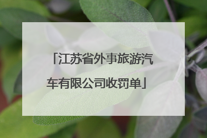 江苏省外事旅游汽车有限公司收罚单