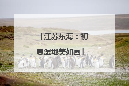 江苏东海：初夏湿地美如画