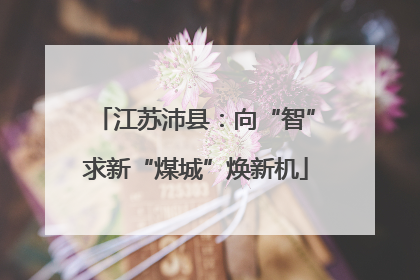 江苏沛县：向“智”求新“煤城”焕新机