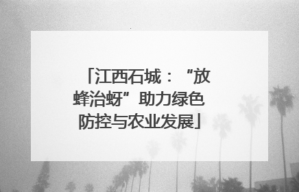 江西石城：“放蜂治蚜”助力绿色防控与农业发展