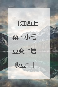 江西上栗：小毛豆变“增收豆”