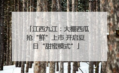 江西九江：大棚西瓜抢“鲜”上市 开启夏日“甜蜜模式”