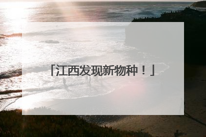 江西发现新物种！
