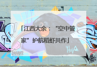 江西大余：“空中管家”护航稻虾共作