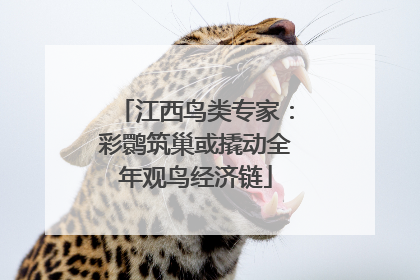 江西鸟类专家：彩鹮筑巢或撬动全年观鸟经济链