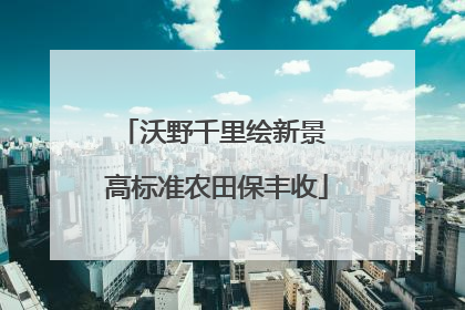 沃野千里绘新景 高标准农田保丰收