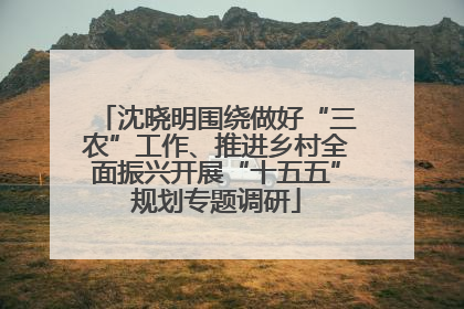 沈晓明围绕做好“三农”工作、推进乡村全面振兴开展“十五五”规划专题调研