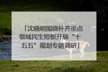 沈晓明围绕补齐重点领域民生短板开展“十五五”规划专题调研