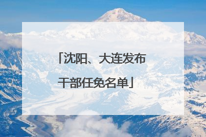 沈阳、大连发布干部任免名单