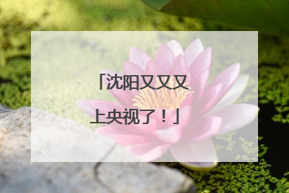 沈阳又又又上央视了！