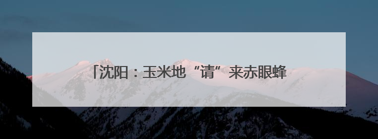 沈阳：玉米地“请”来赤眼蜂 科技赋能农业助绿色增产