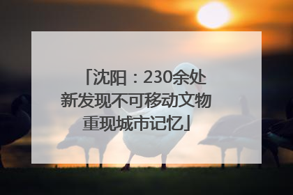 沈阳：230余处新发现不可移动文物重现城市记忆
