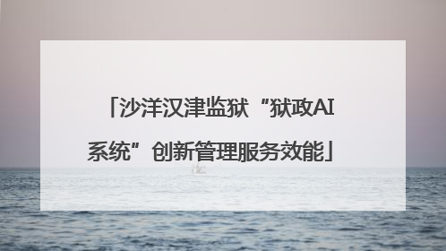 沙洋汉津监狱“狱政AI系统”创新管理服务效能