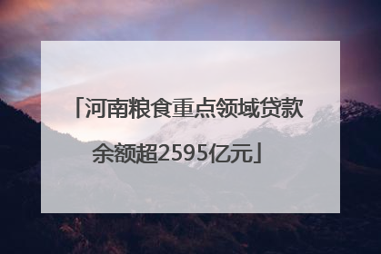 河南粮食重点领域贷款余额超2595亿元