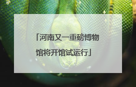 河南又一重磅博物馆将开馆试运行