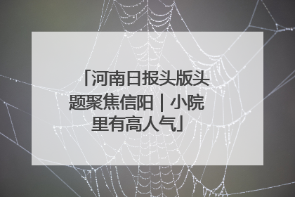 河南日报头版头题聚焦信阳｜小院里有高人气