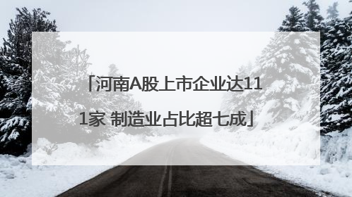 河南A股上市企业达111家 制造业占比超七成
