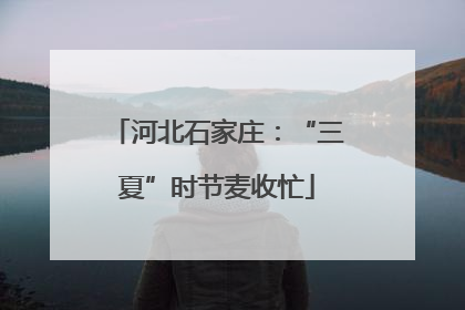 河北石家庄：“三夏”时节麦收忙