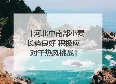 河北中南部小麦长势良好 积极应对干热风挑战