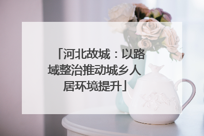 河北故城：以路域整治推动城乡人居环境提升