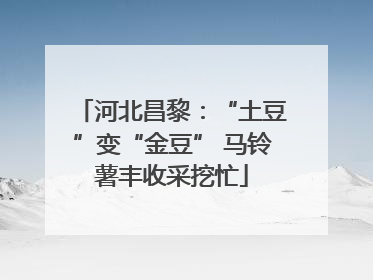 河北昌黎：“土豆”变“金豆” 马铃薯丰收采挖忙