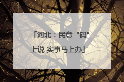 河北：民意“码”上说 实事马上办
