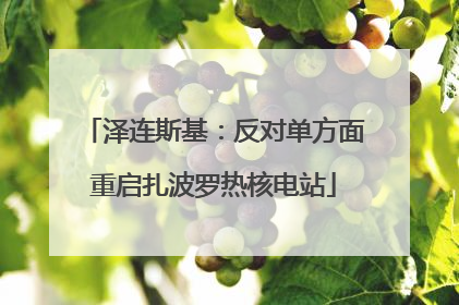 泽连斯基：反对单方面重启扎波罗热核电站