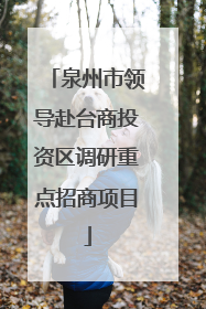 泉州市领导赴台商投资区调研重点招商项目