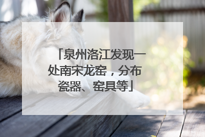 泉州洛江发现一处南宋龙窑，分布瓷器、窑具等