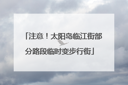 注意！太阳岛临江街部分路段临时变步行街