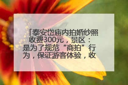 泰安岱庙内拍婚纱照收费300元，景区：是为了规范“商拍”行为，保证游客体验，收取费用全部上交国库