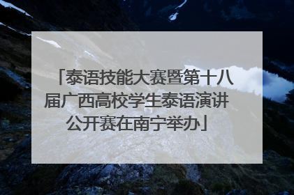 泰语技能大赛暨第十八届广西高校学生泰语演讲公开赛在南宁举办