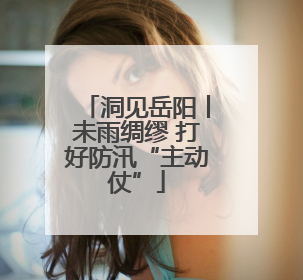 洞见岳阳丨未雨绸缪 打好防汛“主动仗”