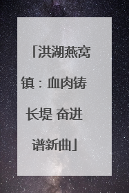 洪湖燕窝镇：血肉铸长堤 奋进谱新曲