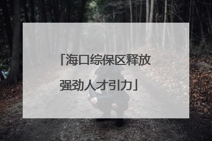 海口综保区释放强劲人才引力